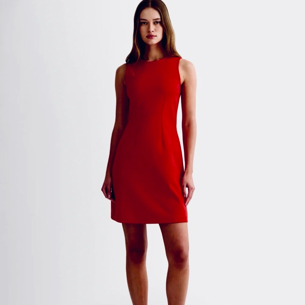 Everlane Red Sleeveless Mini Dress